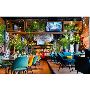restaurants in ludhiana