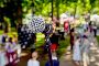 Guide to Best Summer Events in Towns County