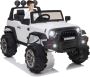 Safe and Fun Electric Cars and Ride-On Buggies for Kids 