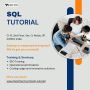 Master SQL Today: Unlock the Power of Data!