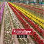 Find the Floriculture and Popular Crops in India