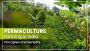 Permaculture and Its Principles for Starting Farming