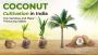 Find the Coconut Cultivation in India, Methods, and Uses