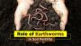 Check Out the Earthworms Make Soil Fertile