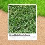 Austrian Grand Prix Is Perfect for Your Lawn
