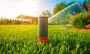 Sir Walter Buffalo Lawn is the Best Turf for Australian Gard
