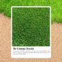 Low-Maintenance Beauty  with Sir Grange Zoysia Sydney