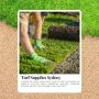 Transform Your Lawn with Turf Supplies