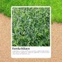 The Kid- and Pet-Friendly Grass That’s Built to Last