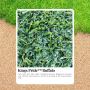 The Lawn Your Pets Will Love: Kings Pride Buffalo