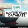 Unlock Global Insights with Customs Data