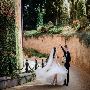 GTA’s Premier Italian Wedding Planners for Romance & Eleganc