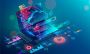 Web Development Courses in Noida Web Development Courses in Noida