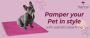 Know how to pamper your pet in style with sophisticated livi
