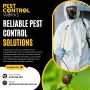 Pest Control Services in Rockbank - Termites, Bees & Rats