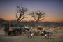 Explore Rwanda Safari Tours with Baheka Travel