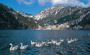 Nainital Holiday Tour