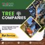 Tree Companies in Boerne Tree Companies in Boerne