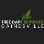 Expert tree service in Gainesville: tree removal, trimming.