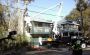 Expert Palm Trimming Services in Jacksonville Expert Palm Trimming Services in Jacksonville