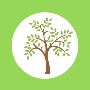 Tree Surgeon, Tree surgery in Great Dunmow, Thaxted – Treeco