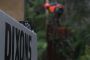 Large Tree Branch Removal Blue Mountains