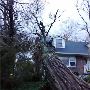Landscape Maintenance Services in Rockland County, NY | D&D 