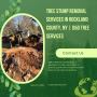 Tree Stump Removal Services in Rockland County, NY | D&D Tre