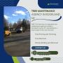 Tree Maintenance Agency in Rockland NY | D&D Tree Services
