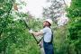 Best Tree Trimming Company Buffalo NY Best Tree Trimming Company Buffalo NY