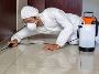 Eradicontrol – Expert Pest Control in Bournemouth for Homes 