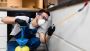 Get Fast and Effective Pest Control Services in Bournemouth