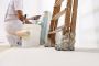 Transform Your Home with Our Painters & Decorators in Bromle