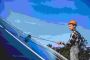 Solar Panel Cleaning: Clean From Dirt