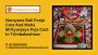 Narayana Bali Pooja Cost And Maha Mrityunjaya Puja Cost In T
