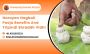Narayan Nagbali Pooja Benefits And Tripindi Shraddh Vidhi