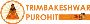 Pitra Dosh Puja In Trimbakeshwar | Trimbakeshwar Purohit