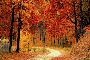 Trinity Tree Service Alexandria