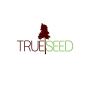 TrueSeed – Your Trusted Office Interior Designers in Gurgaon