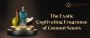THE EXOTIC CAPTIVATING FRAGRANCE OF COCONUT SCENTS THE EXOTIC CAPTIVATING FRAGRANCE OF COCONUT SCENTS