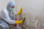 Professional Mold Remediation in Las Vegas for Homes & Busin