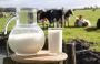 Need a Milk Distributor for Modern Trade in the UAE? Need a Milk Distributor for Modern Trade in the UAE?