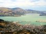 New Zealand Wildlife Tours – Nature Up Close New Zealand Wildlife Tours – Nature Up Close