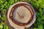   Buy Original Rudraksha Japa Mala from Tulsi Rudra