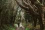 Ireland Elopements Adventure, Love & Breathtaking Views