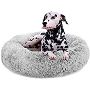 Shop Dog Products & Accessories in Mexico