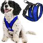 Buy Dogs Collars, Harnesses & leashes Online in Mexico
