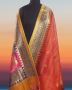 Elegant Organza Sarees Online - Discover Exquisite Collectio