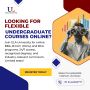 Flexible Undergraduate Courses Online – BBA, B.Com (Hons), &
