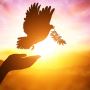 The ultimate Meditation for Global Healing - Unify